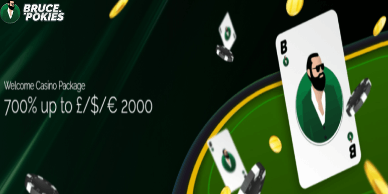 Unravel the Excitement Play at Bruce Pokies Casino Slots